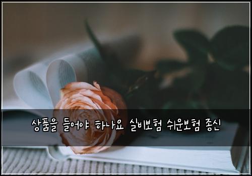 상품을 들어야 하나요 실비보험 쉬운보험  종신
