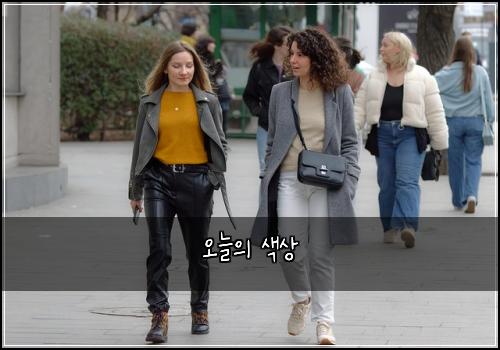 오늘의 색상