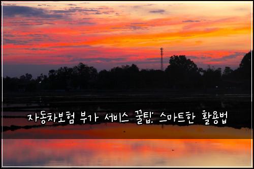 자동차보험 부가 서비스 꿀팁: 스마트한 활용법