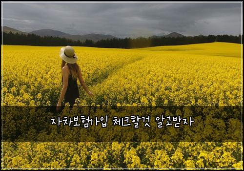 μ차보νκ°μ
체ν¬ν κ² μκ³ λ°μ