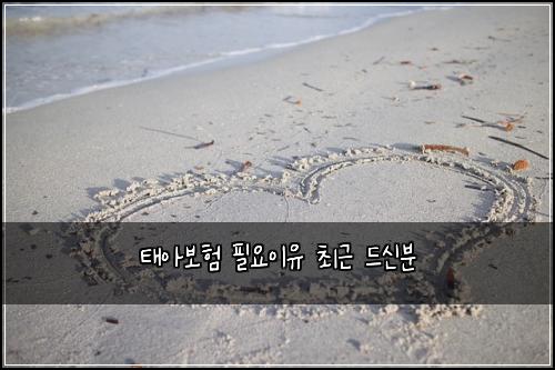 태아보험 필요이유  최근 드신분