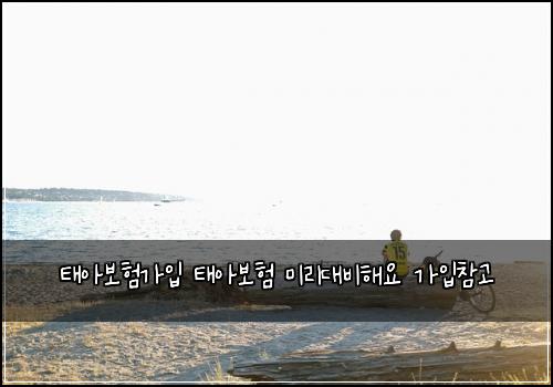 태아보험가입 태아보험 미리대비해요 가입참고