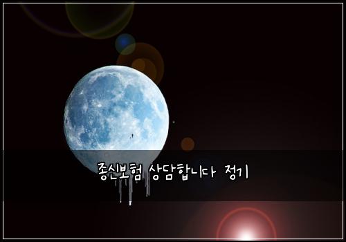 종신보험 상담합니다  정기