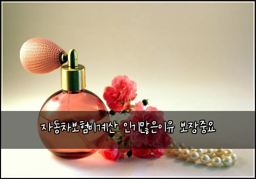 ์๋์ฐจ๋ณดํ๋น๊ณ์ฐ ์ธ๊ธฐ๋ง์์ด์ ๋ณด์ฅ์ค์