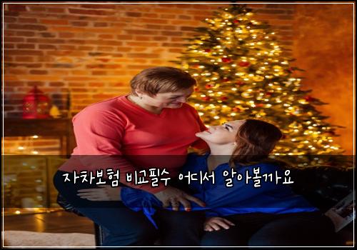 ์์ฐจ๋ณดํ ๋น๊ตํ์ ์ด๋์ ์์๋ณผ๊น์