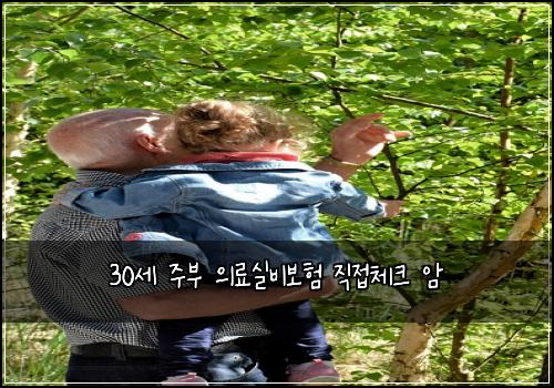 30세 주부 의료실비보험 직접체크  암