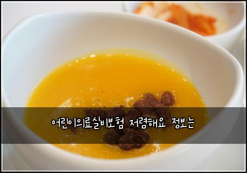 어린이의료실비보험 저렴해요  정보는
