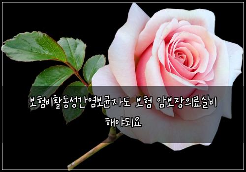 보험비활동성간염보균자도 보험 암보장의료실비 해야되요