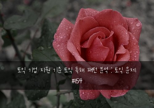 토익 기업 지원 기준 토익 독해 패턴 분석 : 토익 문제 #154