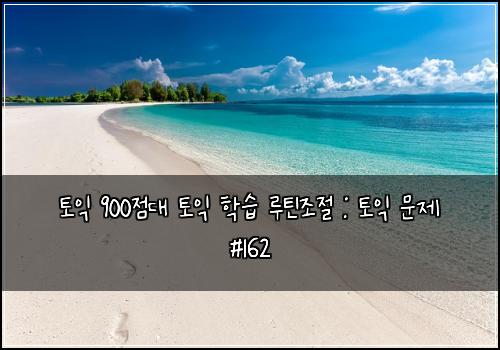 토익 900점대 토익 학습 루틴조절 : 토익 문제 #162