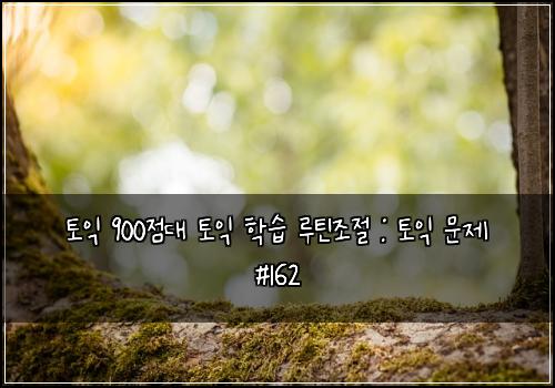토익 900점대 토익 학습 루틴조절 : 토익 문제 #162