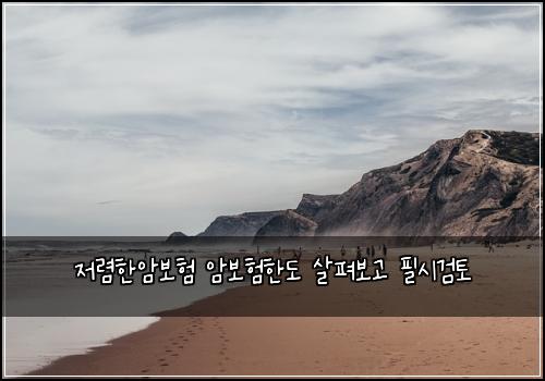 저렴한암보험 암보험한도 살펴보고 필시검토