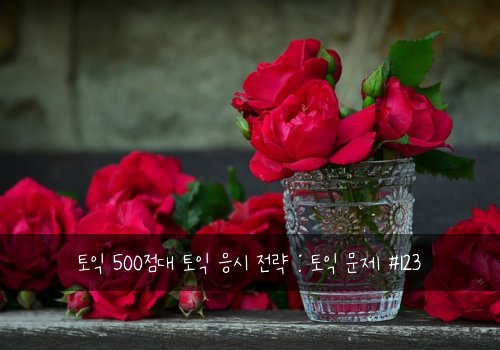 토익 500점대 토익 응시 전략 : 토익 문제 #123