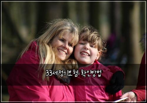 33세정기보험 확인방법 