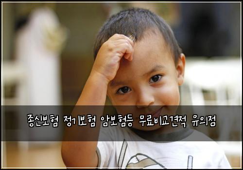 종신보험 정기보험 암보험등 무료비교견적 유의점