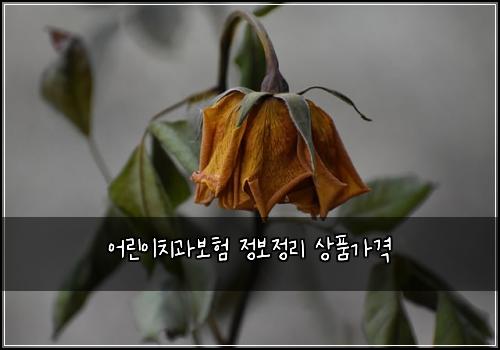 어린이치과보험 정보정리  상품가격