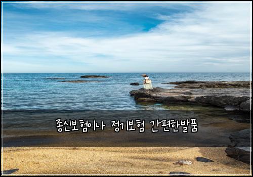 종신보험이나 정기보험 간편한발품