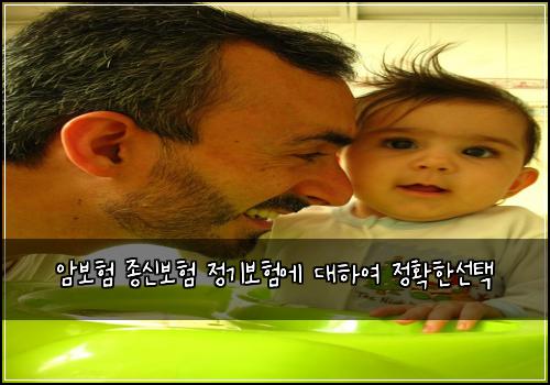 암보험 종신보험 정기보험에 대하여 정확한선택