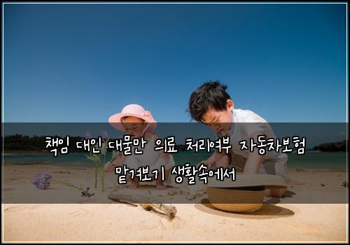 μ±
μ λμΈ λλ¬Όλ§ μλ£ μ²λ¦¬μ¬λΆ μλ차보ν 맑겨보기 μνμμμ