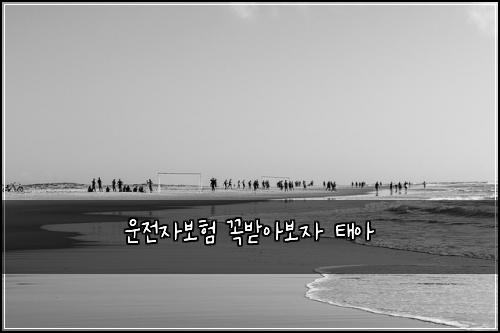 운전자보험 꼭받아보자  태아