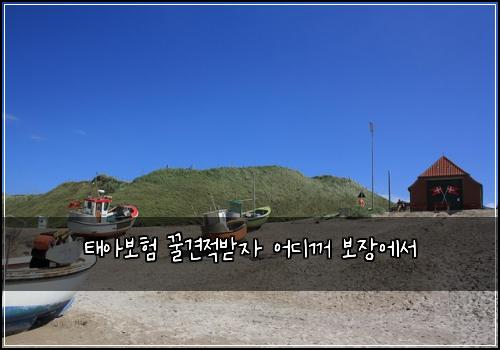 태아보험 꿀견적받자  어디꺼 보장에서