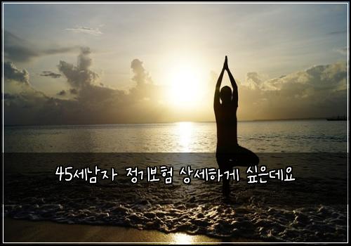 45세남자 정기보험 상세하게  싶은데요