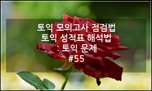 오늘의 이미지