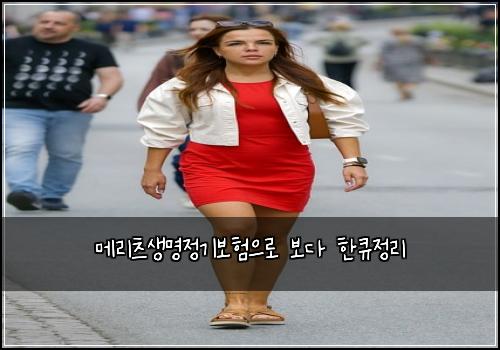 메리츠생명정기보험으로 보다 한큐정리