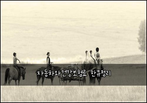 자동차와건강보험료 한큐정리