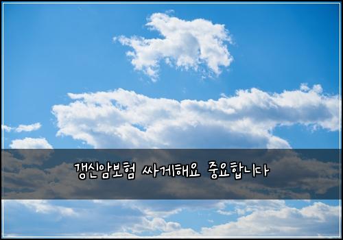 갱신암보험 싸게해요  중요합니다