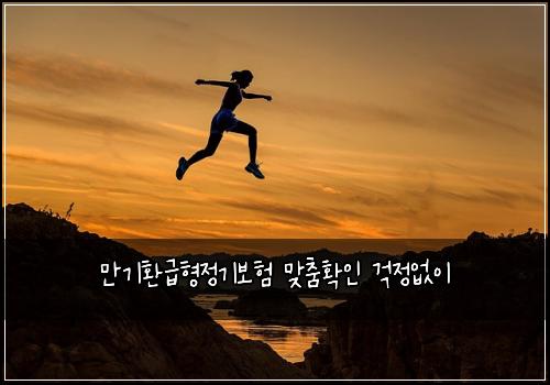 만기환급형정기보험 맞춤확인  걱정없이