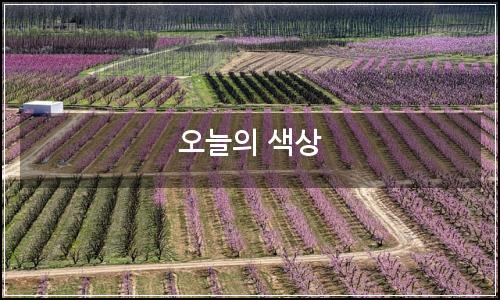 오늘의 이미지