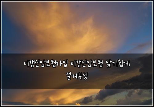 비갱신암보험가입 비갱신암보험 알기쉽게 설계구성