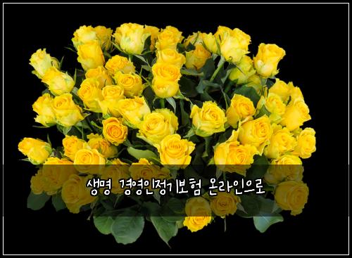 생명 경영인정기보험 온라인으로 