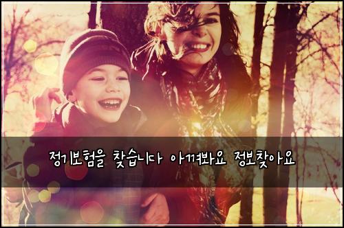 정기보험을 찾습니다 아껴봐요 정보찾아요
