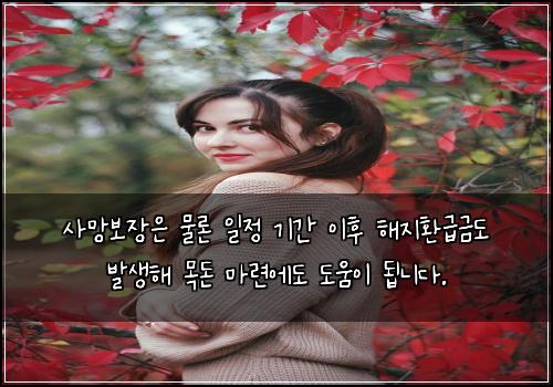 사망보장은 물론 일정 기간 이후 해지환급금도 발생해 목돈 마련에도 도움이 됩니다.
