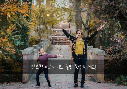 암보험 비교사이트 꿀팁 확인하세요!