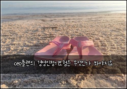 ceo플랜의 경영인정기보험은 무엇인가 봐야지요
