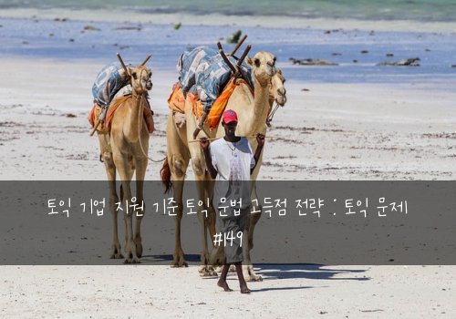 토익 기업 지원 기준 토익 문법 고득점 전략 : 토익 문제 #149