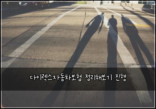 다이렉스자동차보험 정리해보기  진행