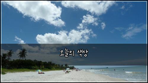 오늘의 색상