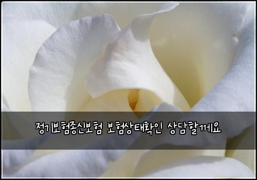 정기보험종신보험 보험상태확인 상담할께요
