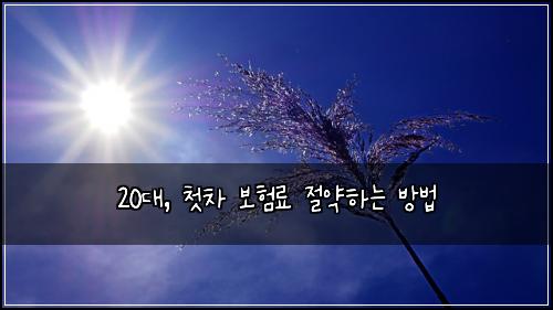 20대, 첫차 보험료 절약하는 방법