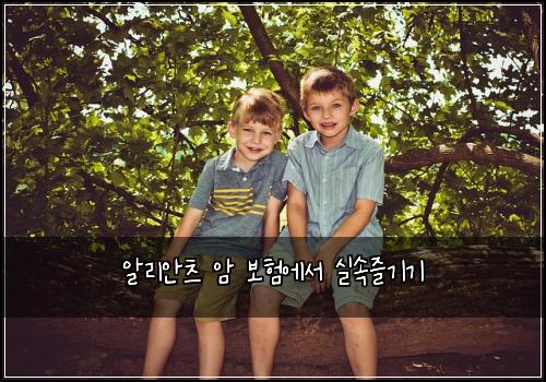 알리안츠 암 보험에서 실속즐기기
