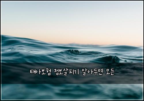 태아보험 정보살피기  알아두면 모든