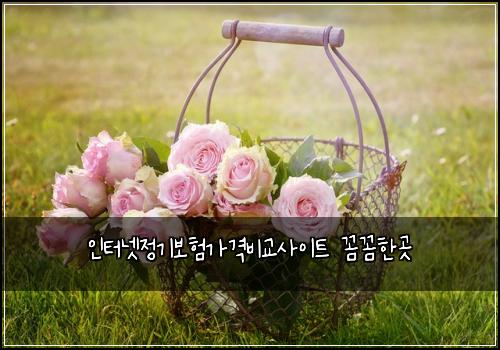 인터넷정기보험가격비교사이트 꼼꼼한곳