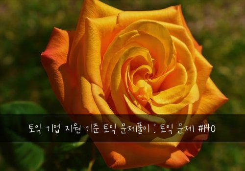 토익 기업 지원 기준 토익 문제풀이 : 토익 문제 #140