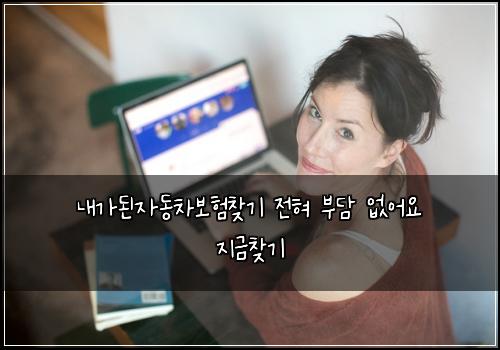 내가된자동차보험찾기 전혀 부담 없어요 지금찾기