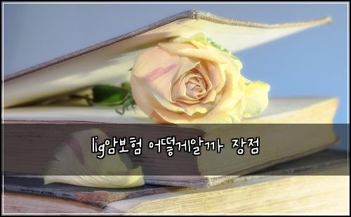 lig암보험 어떻게알까  장점