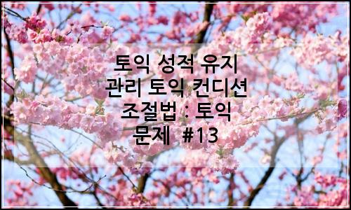 오늘의 이미지